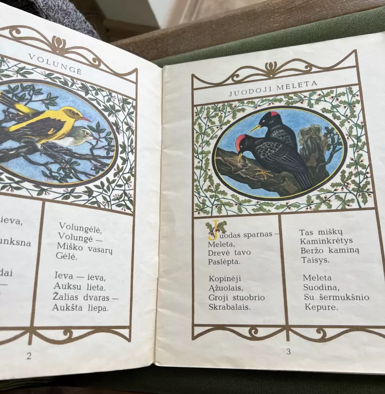 Girių giesmės devynbalsės - Leonardas Gutauskas, knyga 6