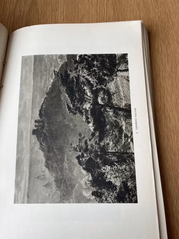 Vilniaus menas - Dr. Mikalojus Vorobjovas, knyga 4