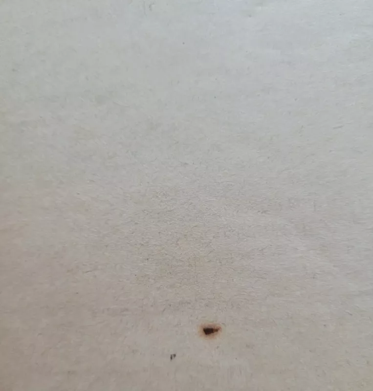 Juodųjų kalnų ola - Lizelotė Velskopf-Henrich, knyga 4