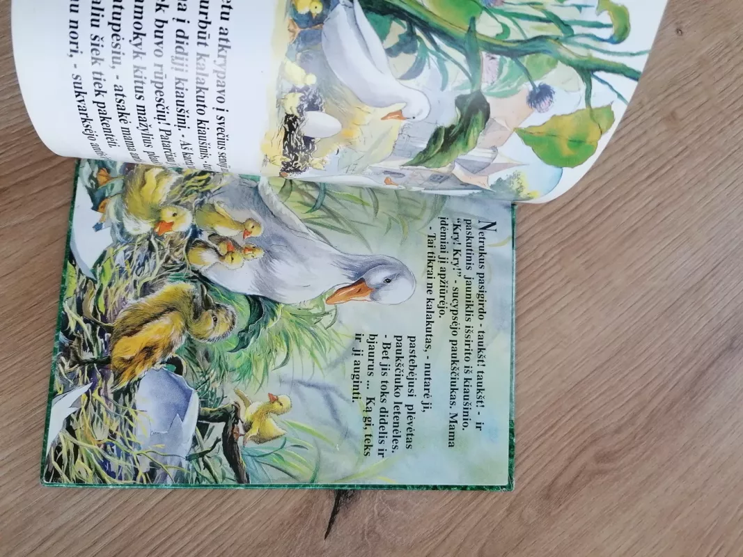 Bjaurusis ančiukas. Mano mažoji skrynelė - H. K. Andersenas, knyga 5