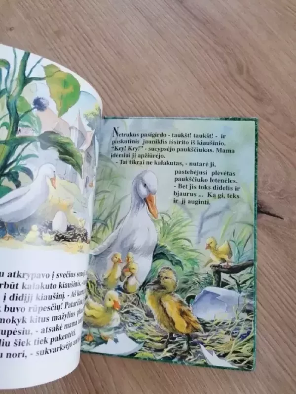 Bjaurusis ančiukas. Mano mažoji skrynelė - H. K. Andersenas, knyga 4