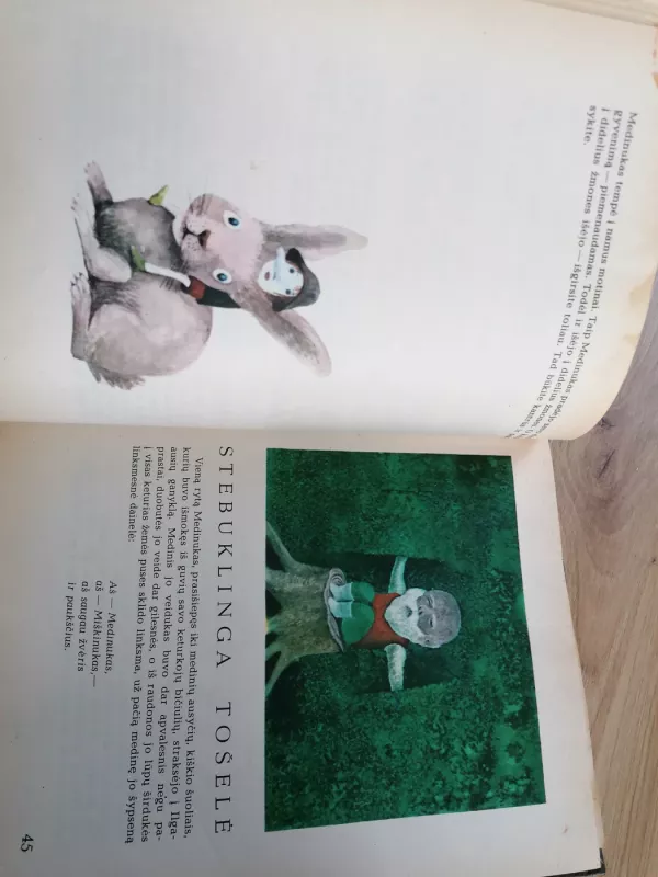 Miško pasaka - Eduardas Mieželaitis, knyga 4