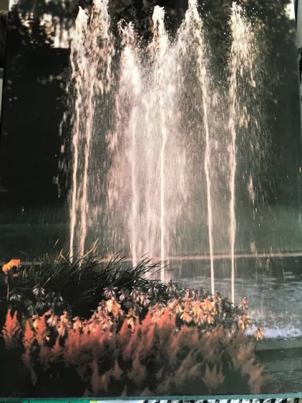 Juknaičiai - Autorių grupė, knyga 5