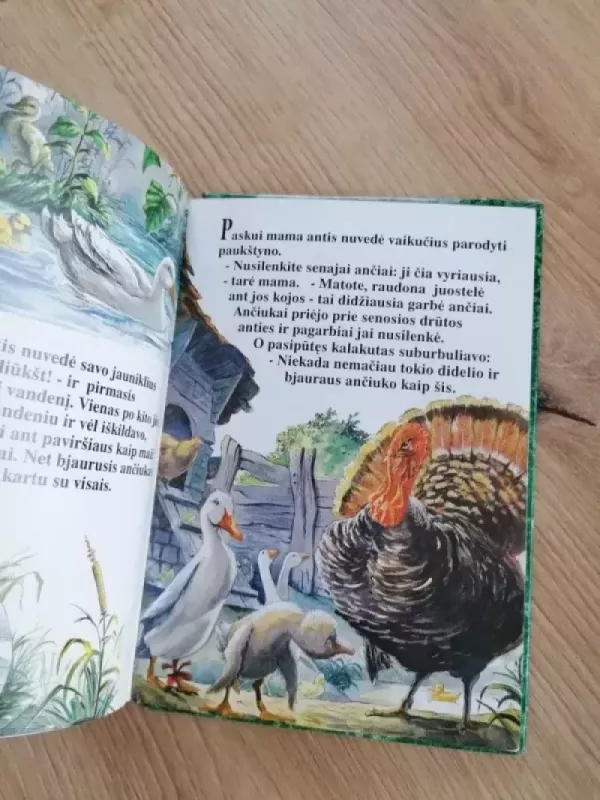 Bjaurusis ančiukas. Mano mažoji skrynelė - H. K. Andersenas, knyga 3