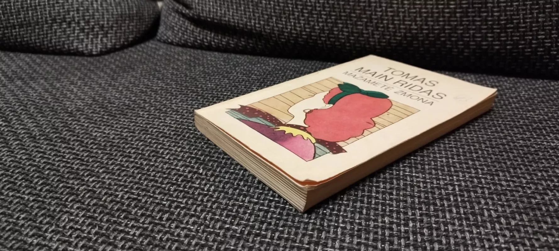 Mažametė žmona - Tomas Main Ridas, knyga 4