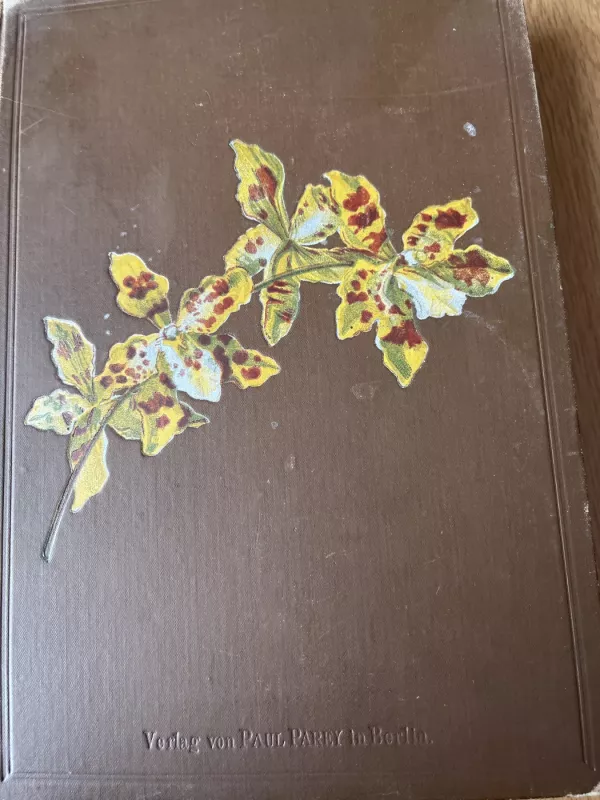 Orchideenbuch - Stein’s, knyga 2