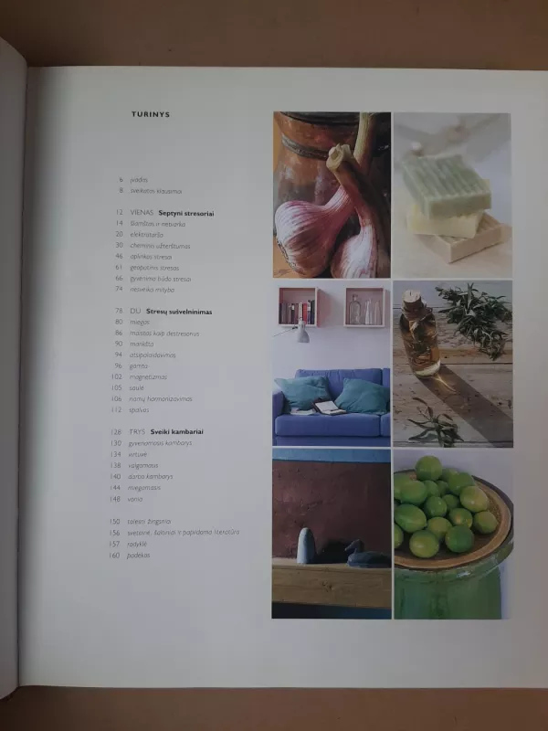 Sveiki namai - Gina Lazenby, knyga 5