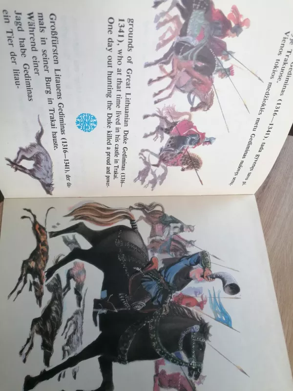 Gedimino sapnas - Dainius Juozėnas, knyga 5