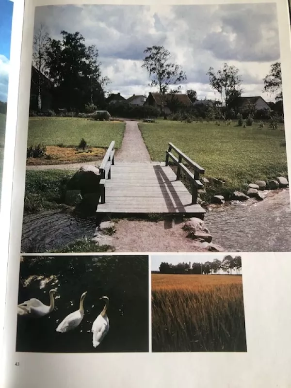 Juknaičiai - Autorių grupė, knyga 4