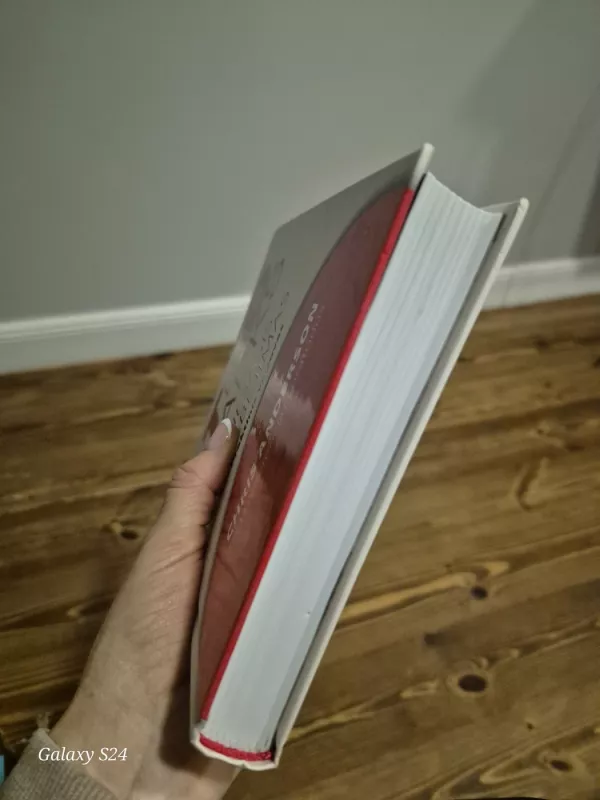 Ted talks Viešasis kalbėjimas - Chris Anderson, knyga 6