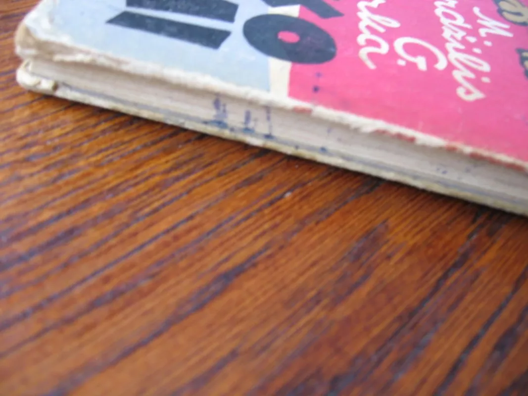 Viniuko nuotykiai - M. Ardžilis, G.  Parka, knyga 4