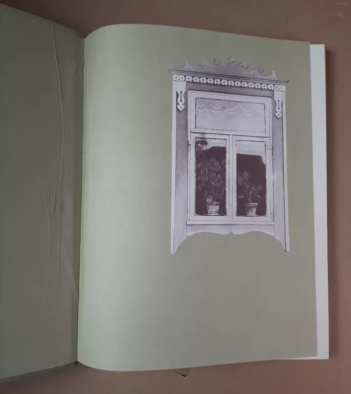 Lietuvių liaudies architektūros paminklai T. III. Savaimingai susiklostę kaimai - Kazys Šešelgis, knyga 4