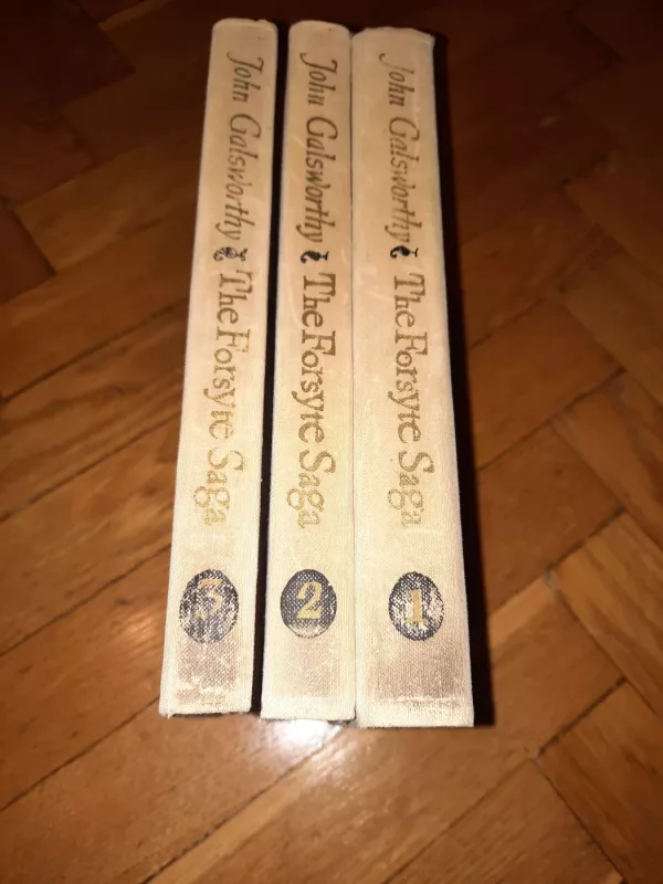 The Forsyte Saga, 1-2-3 novels - John Galsworthy, knyga 3