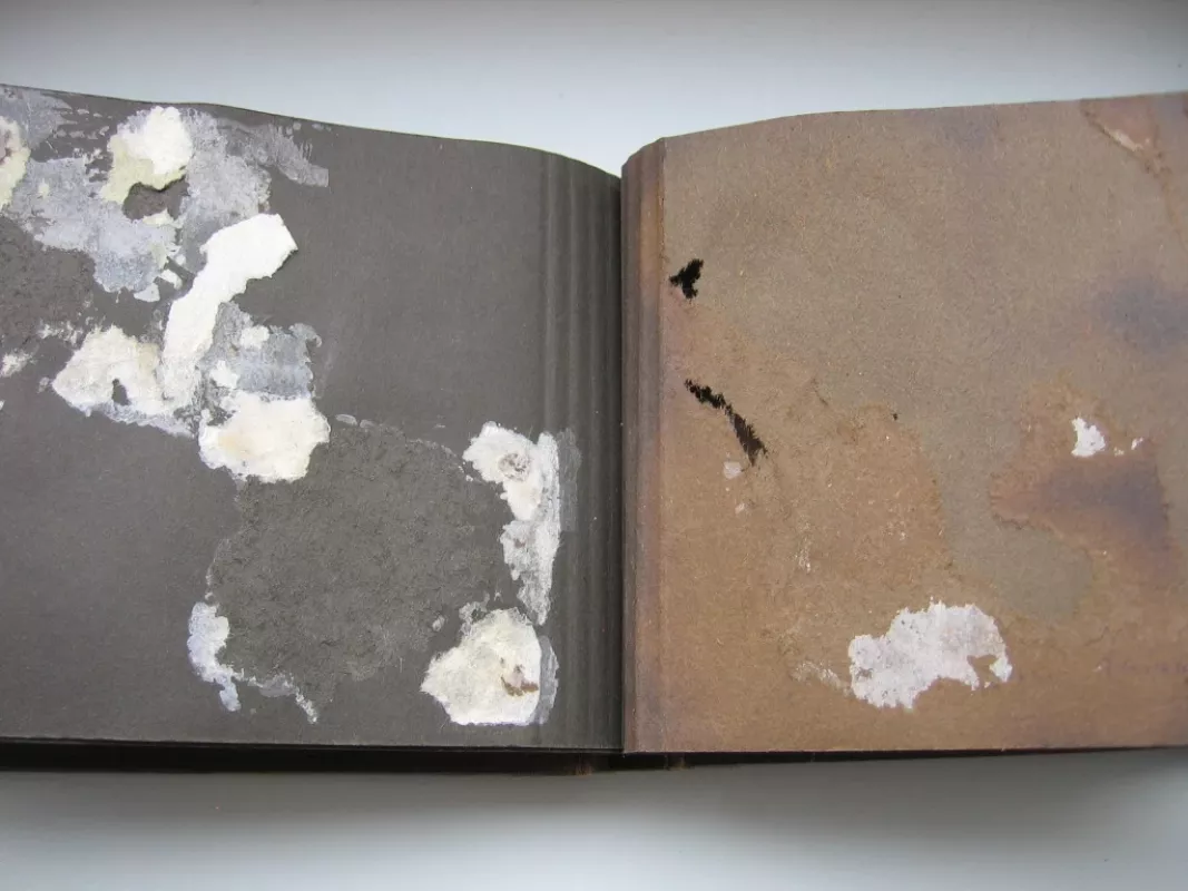 Vintažinis albumas - , namai ir interjeras 5