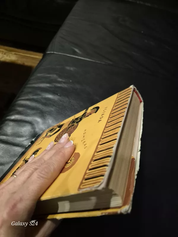 Iliada - Homeras, knyga 4