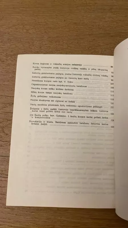 Gedimino pulko likimas - Jolnas Abraitis, knyga 5