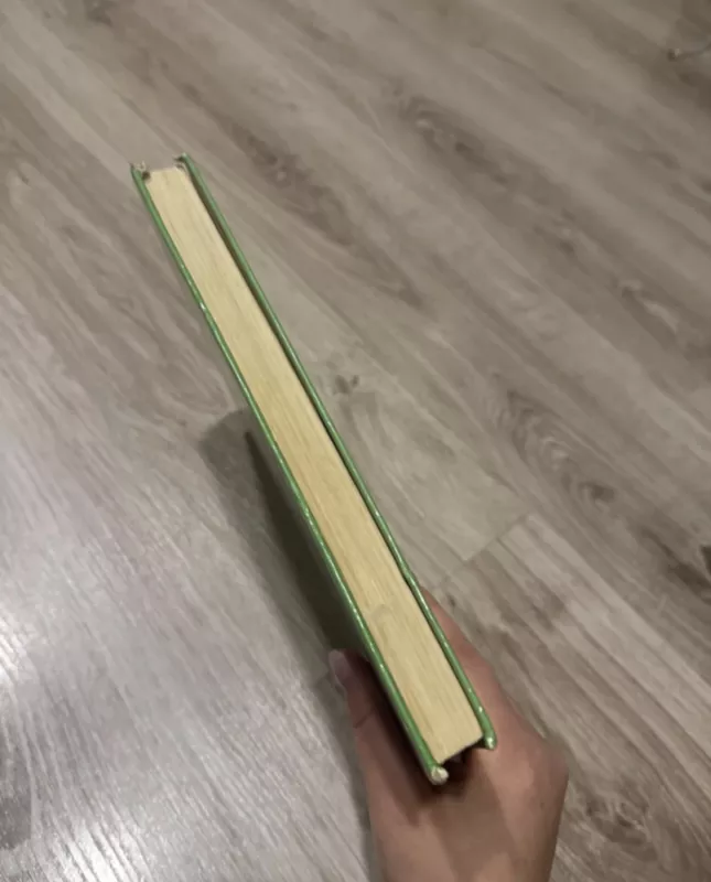 Mažylis ir Karlsonas, kuris gyvena ant stogo - Astrida Lingrend, knyga 4