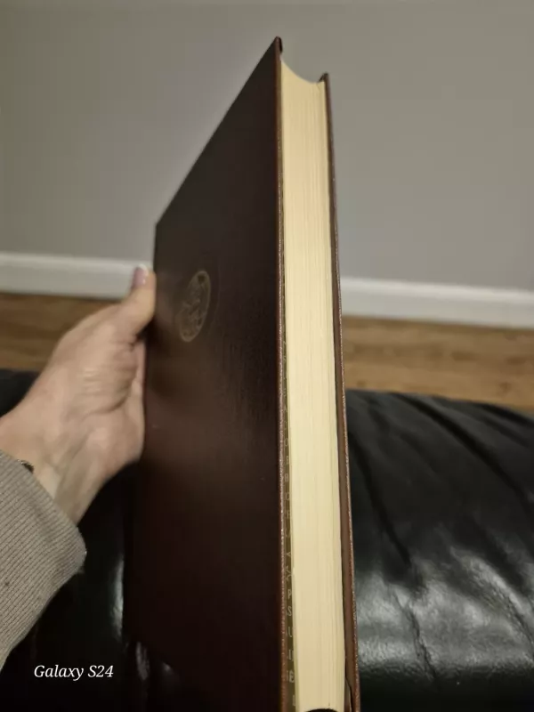 Doriano Grėjaus Portretas,  Menininko jaunų dienų portretas - Oskaras Vaildas, Džeimsas Džoisas, knyga 2