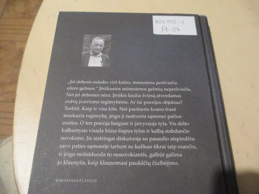 Įtrūkusios mėnesienos - Kornelijus Platelis, knyga 6