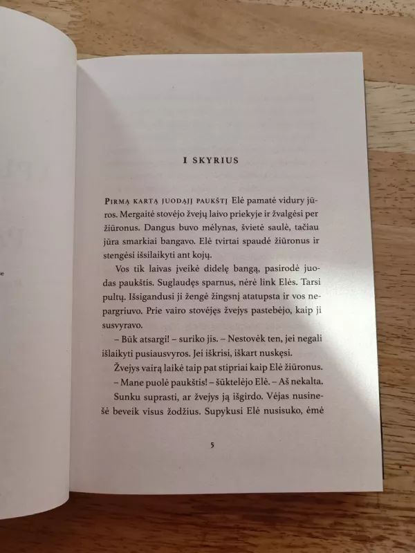 Apleistosios pilies paslaptis - Ohlsson Kristina, knyga 5