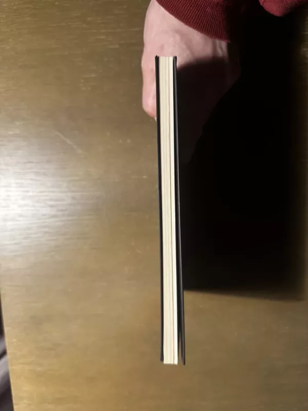 Autistas ir pašto balandis - Rodaan AL Galidi, knyga 3