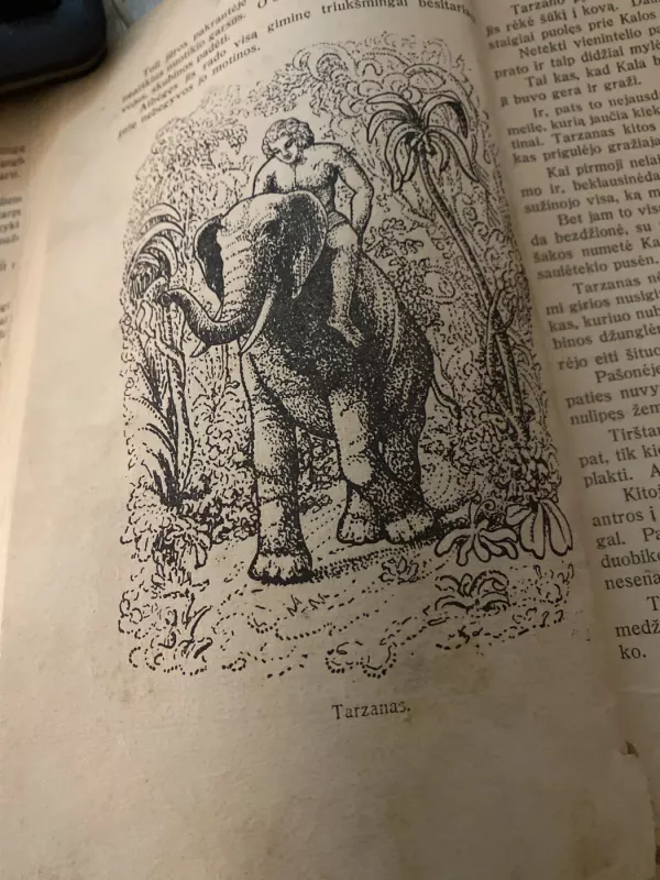 T A R Z A N A S. 1 - 3 dalys - Burrougks E., knyga 3
