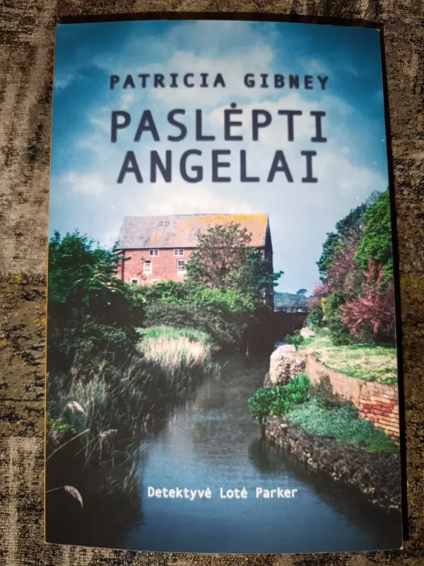 Paslėpti angelai - Patricia Gibney, knyga 2