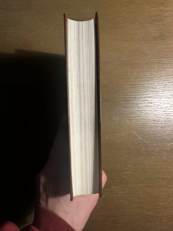 Šauniojo kareivio Šveiko nuotykiai pasauliniame kare - Jaroslav Hašek, knyga 5