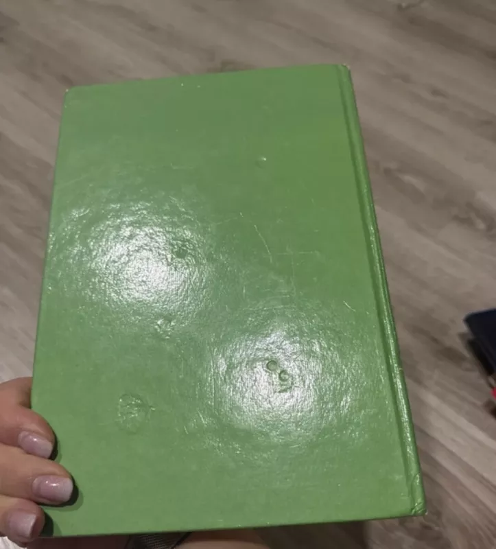 Mažylis ir Karlsonas, kuris gyvena ant stogo - Astrida Lingrend, knyga 6