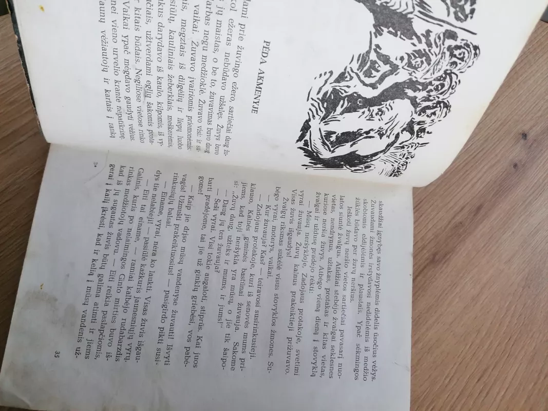 Rambyno burtininkas - Petras Tarasenka, knyga 6