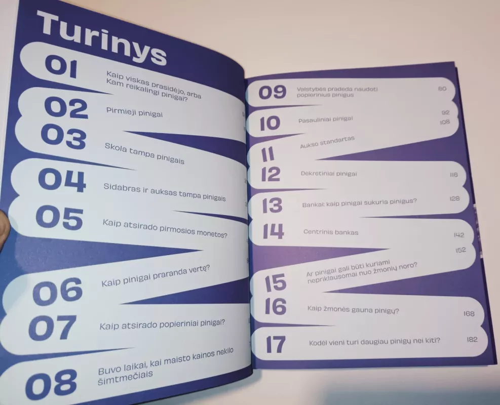 Pinigų kelionė - Visvaldas Legkauskas, knyga 2