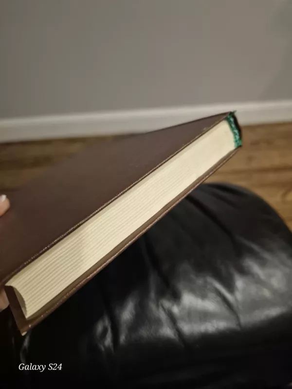 Doriano Grėjaus Portretas,  Menininko jaunų dienų portretas - Oskaras Vaildas, Džeimsas Džoisas, knyga 4