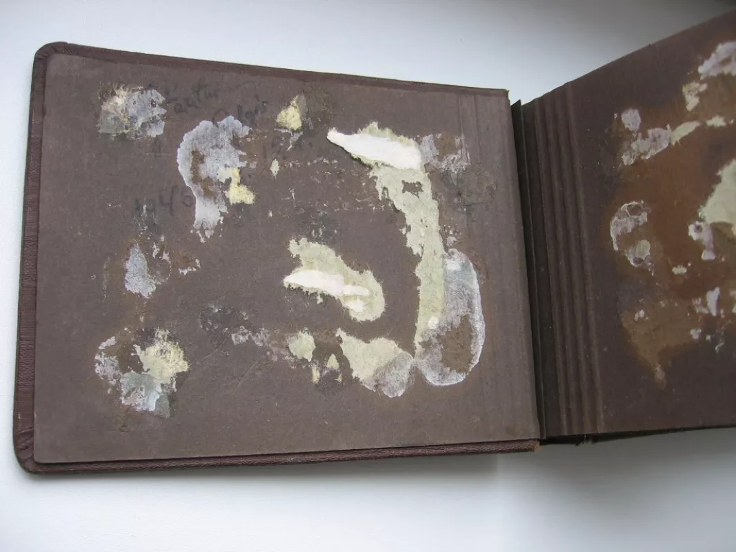 Vintažinis albumas - , namai ir interjeras 6