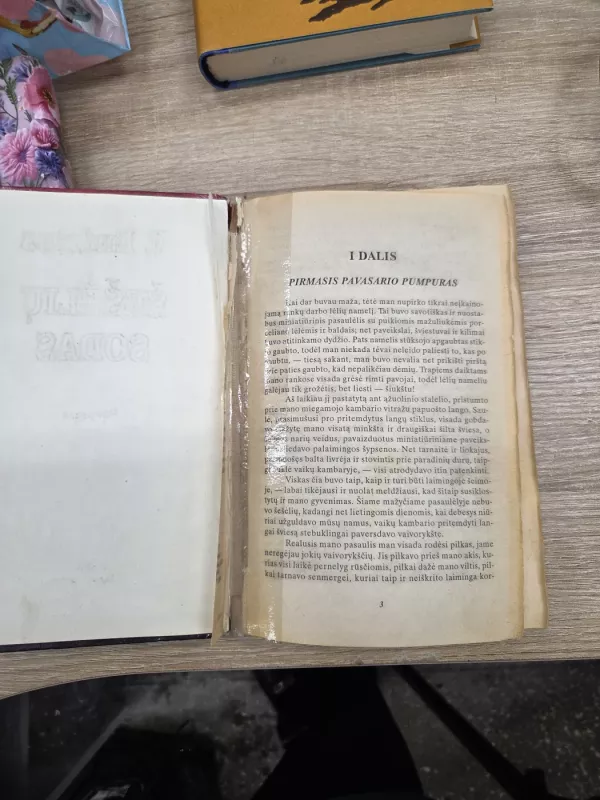 Šešėlių sodas - V. C. Endrius, knyga 3