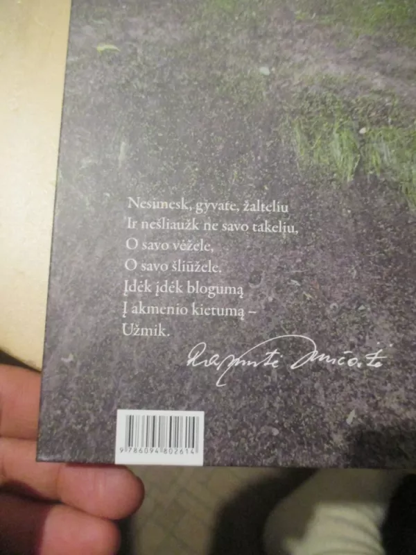 Buvau atėjus - Ramutė Skučaitė, knyga 4