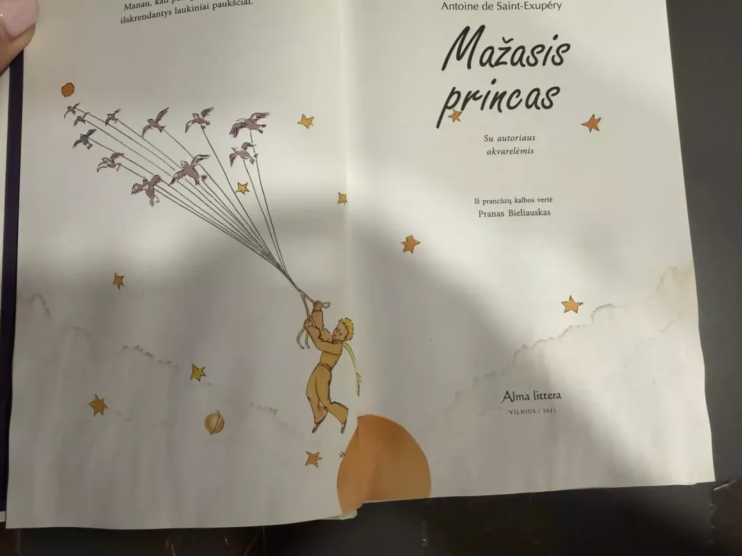 Mažasis princas - Antoine de Saint-Exupéry, knyga 2