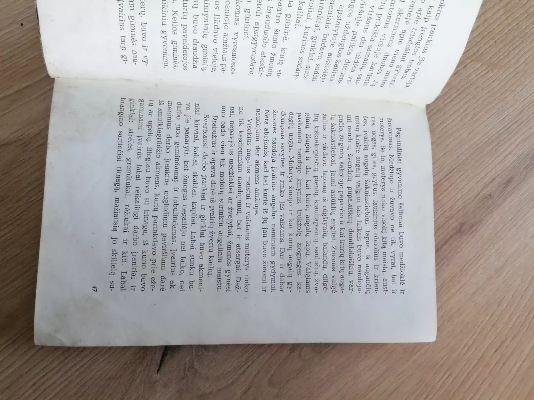 Rambyno burtininkas - Petras Tarasenka, knyga 4