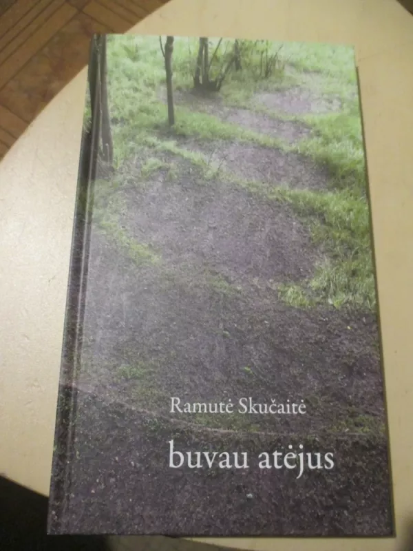 Buvau atėjus - Ramutė Skučaitė, knyga 3