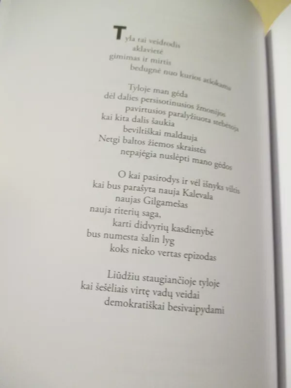 Pirmadienio susitikimų eilėraščiai 1990–1991 - Arkadijus Vinokuras, knyga 5