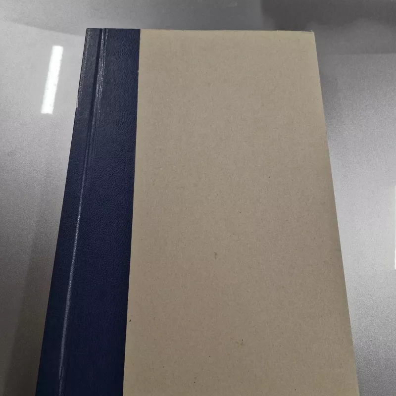 LAIKRAŠTIS XXI AMŽIUS 1999m. 1-6 mėn. - Autorių kolektyvas (įvairūs), knyga 2