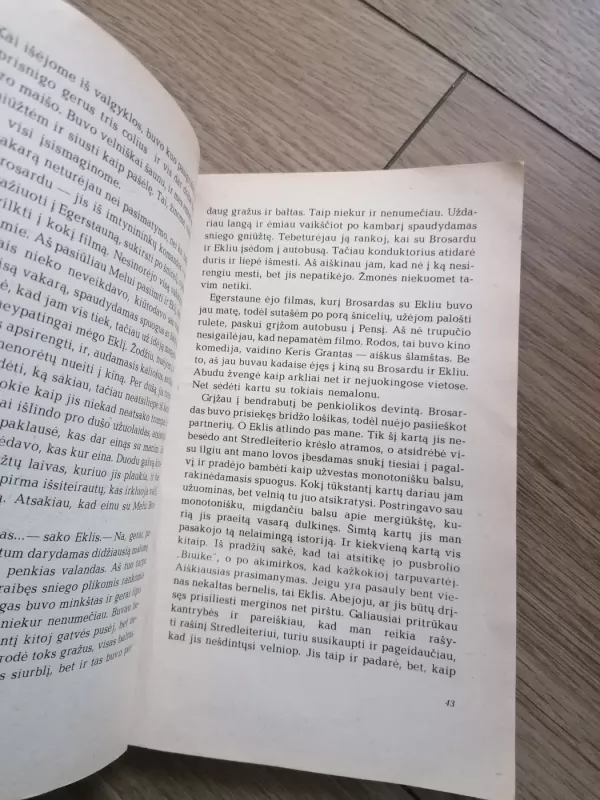 Rugiuose prie bedugnės - Džeromas Selindžeris, knyga 4