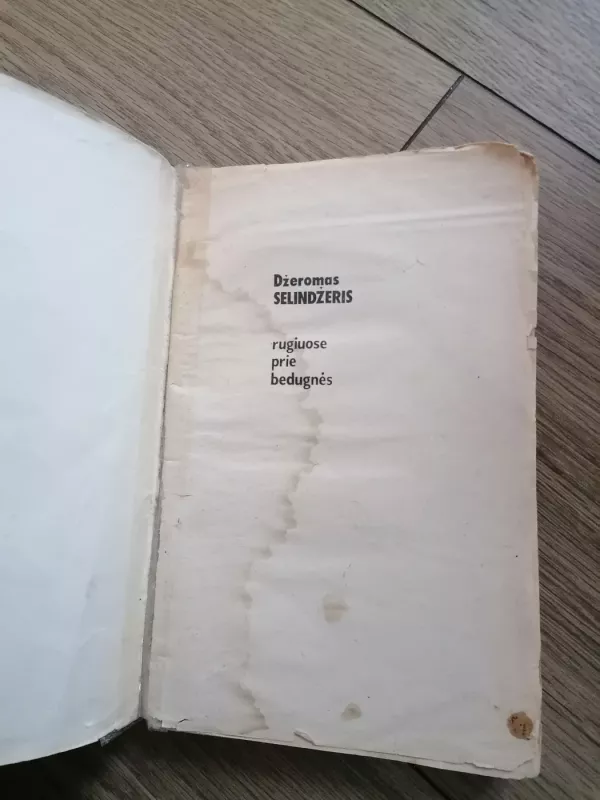 Rugiuose prie bedugnės - Džeromas Selindžeris, knyga 3