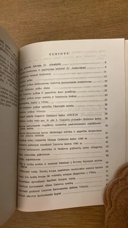 Gedimino pulko likimas - Jolnas Abraitis, knyga 4