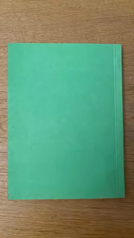 Gedimino pulko likimas - Jolnas Abraitis, knyga 6