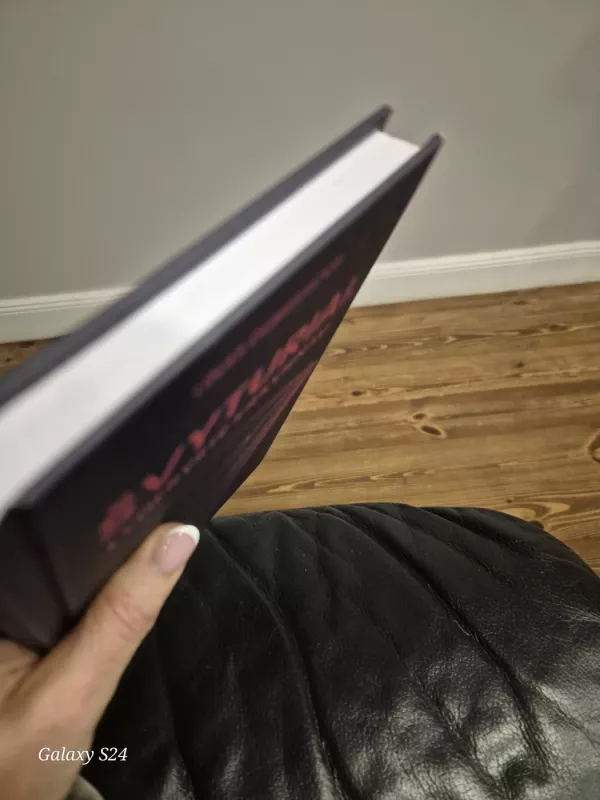 Švyturiai: lyderystė kiekvienam - Linas Dungveckis, knyga 6