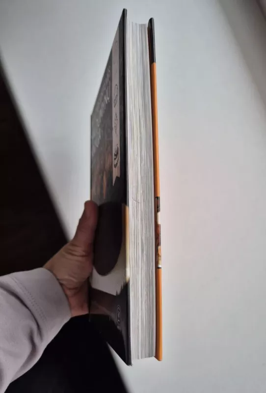 Saulėtos virtuvės saldumynų knyga - Asta Černė, knyga 3