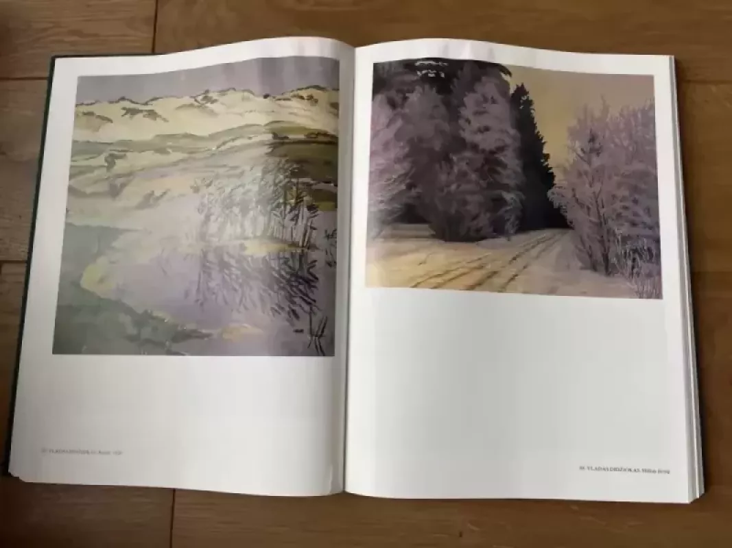 Lietuvos tapyba - tapyba Lietuvos, knyga 4