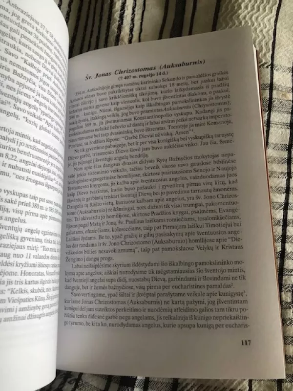 Drauge su angelais ir šventaisiais - Ferdinand Holbock, knyga 3