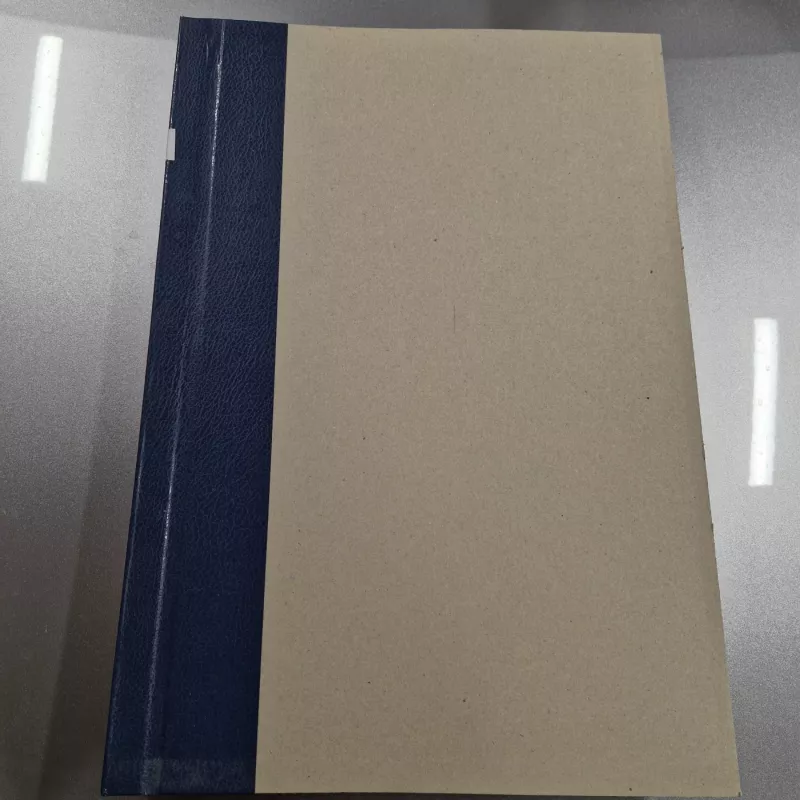 LAIKRAŠTIS XXI AMŽIUS 1999m. 7-12 mėn. - Autorių kolektyvas (įvairūs), knyga 2