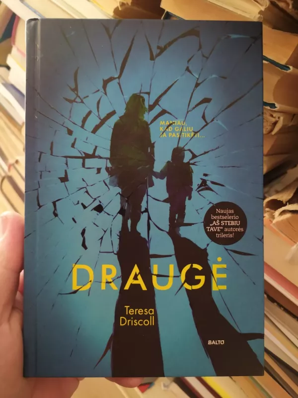 Draugė - Teresa Driscoll, knyga 2